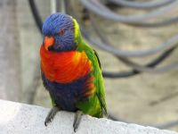 IMG_5861