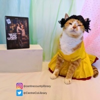 Cat Icon Game #245 - Horatio the Library Cat celebrates actress-singer Ariana DeBose!