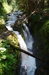 Sol Duc Falls in the Olympic nataional Park by Curtis Bronson