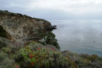 Cherry Cove, Catalina Island