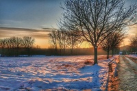 Winter sun in Jezus-Eik, Flanders