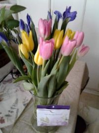 Flowers02