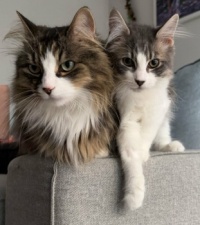 Alphie & Frankie 01