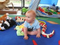 Wild Animal Safari