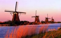 Windmills at Dawn