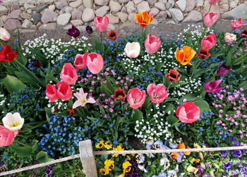 Solve spring jigsaw puzzle online with 70 pieces