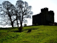 Castle on a Hill