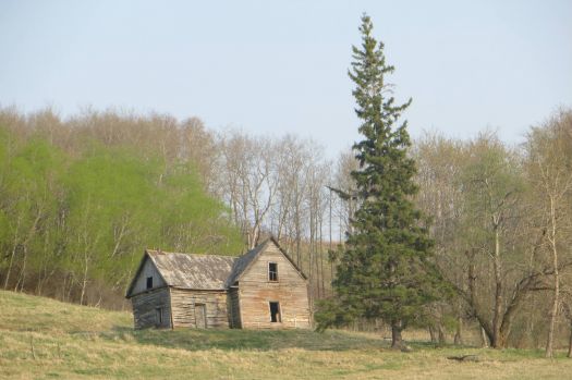 Fixer Upper