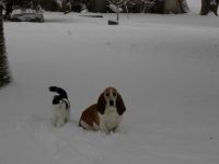 reno and frogger