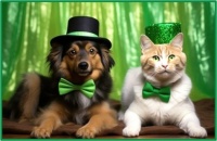 We Love St Patrick's Day Too!