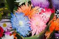 Flower Bunch