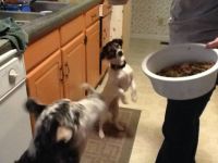 supper time