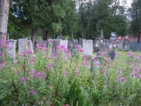 Chester, VT cemetery