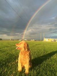 At the End of the Rainbow