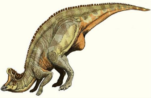 Dinosaur  Lambeosaurus
