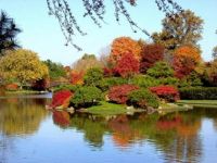 fall_10[1]
