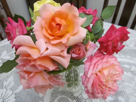More roses