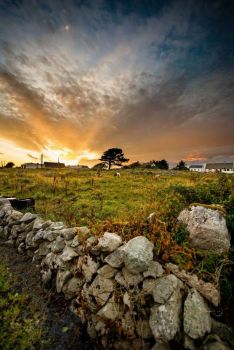 ..stone fence Ireland