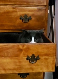 I Bet Nobody Can See Me