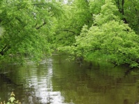 Beautiful river