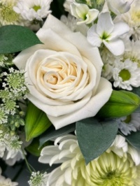 A rose in good company