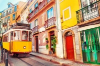 Canary isles