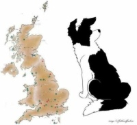 Wobblybear's Fun Stuff (wbfs) - Mainland Britain's shape is actually a sitting border collie (dog) looking to the side 😀
