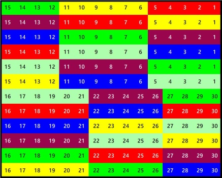Solve Number 1569 two-striped skunk 180 jigsaw puzzle online with 180 ...