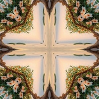 #2 large