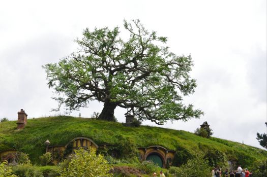 Tree made of steel Hobbiton. NZ