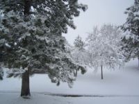 Nope, winter is not over in Colorado