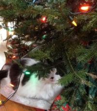 Picture taken last year. She thought she was hiding