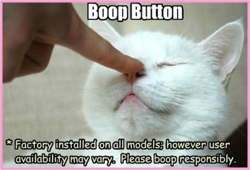 Solve Boop Instructions For Kitties Jigsaw Puzzle Online With Pieces