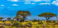 Mount Kilimanjaro #3