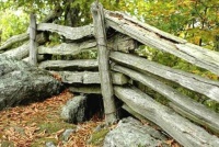 Happy Birthday, Mariolyn.  A FENCE I posted a long time ago.  No idea about its heritage.