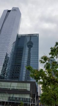 reflection of cn tower