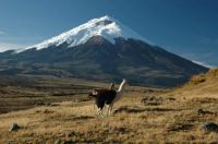 Cotopaxi #3