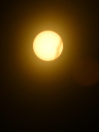 Test Shot