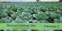 Today Is National Cabbage Day!!