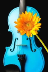 blue violin and sunflower - Garry Gay