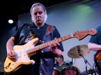 Musicians 11 - Walter Trout