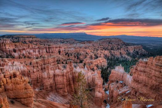 Bryce Canyon by Vince Warren