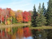 Centennial Park