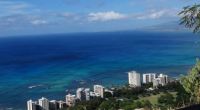 Blue Hawaii