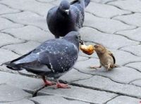 Sharing!