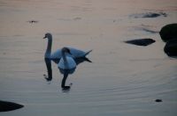 peace and quiet