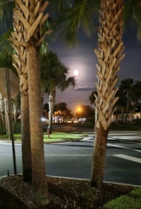 SUPER BLUE MOON #1