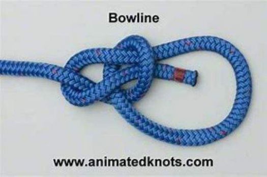 knots  bowline  resized