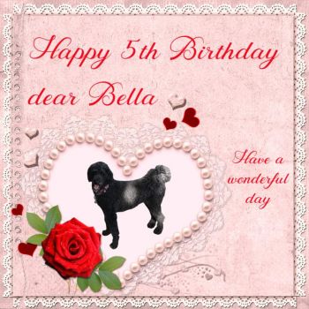 Happy Birthday dear Bella (Bella2015)