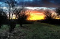 Sutton Park sunrise.